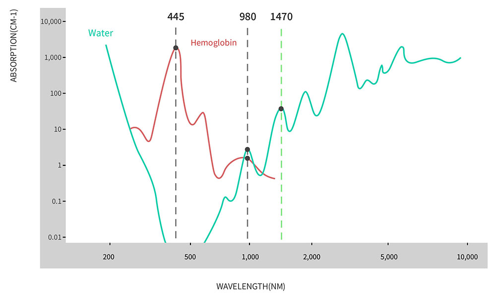 Absorption Coefficient of 445nm 980nm 1470nm ENT laser