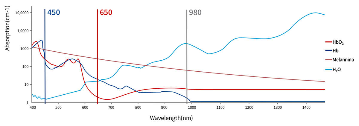 Absorption Coefficient of 450nm 650nm 980nm Dental Laser